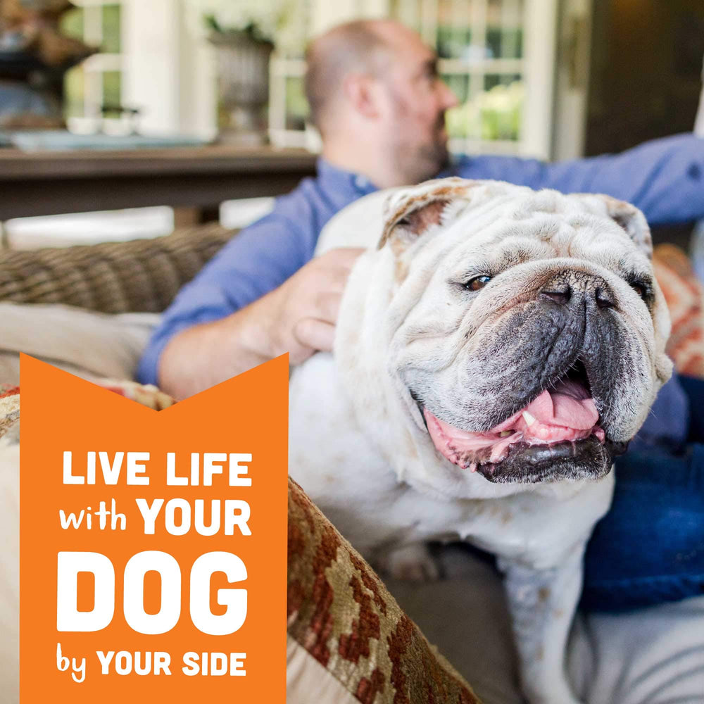 27-calorie-per-treat line communicates portion control for dogs