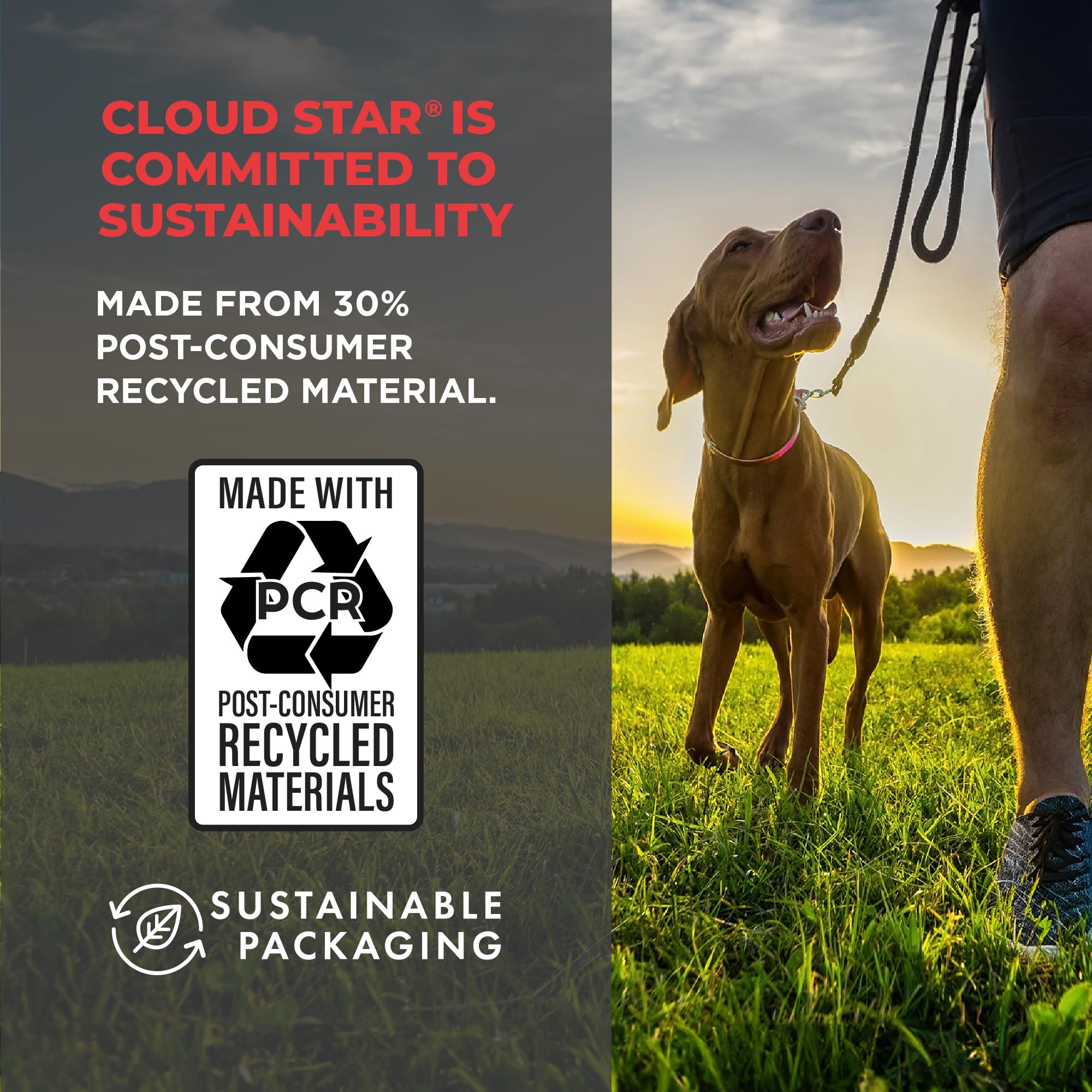 Cloud Star 30 percent post-consumer recycled packaging bag on white background
