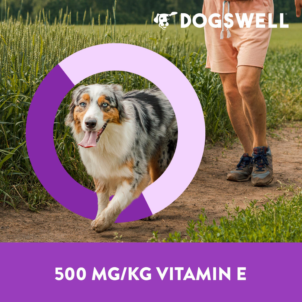 Natural flaxseed oil and turmeric in Dogswell Immunity & Defense jerky