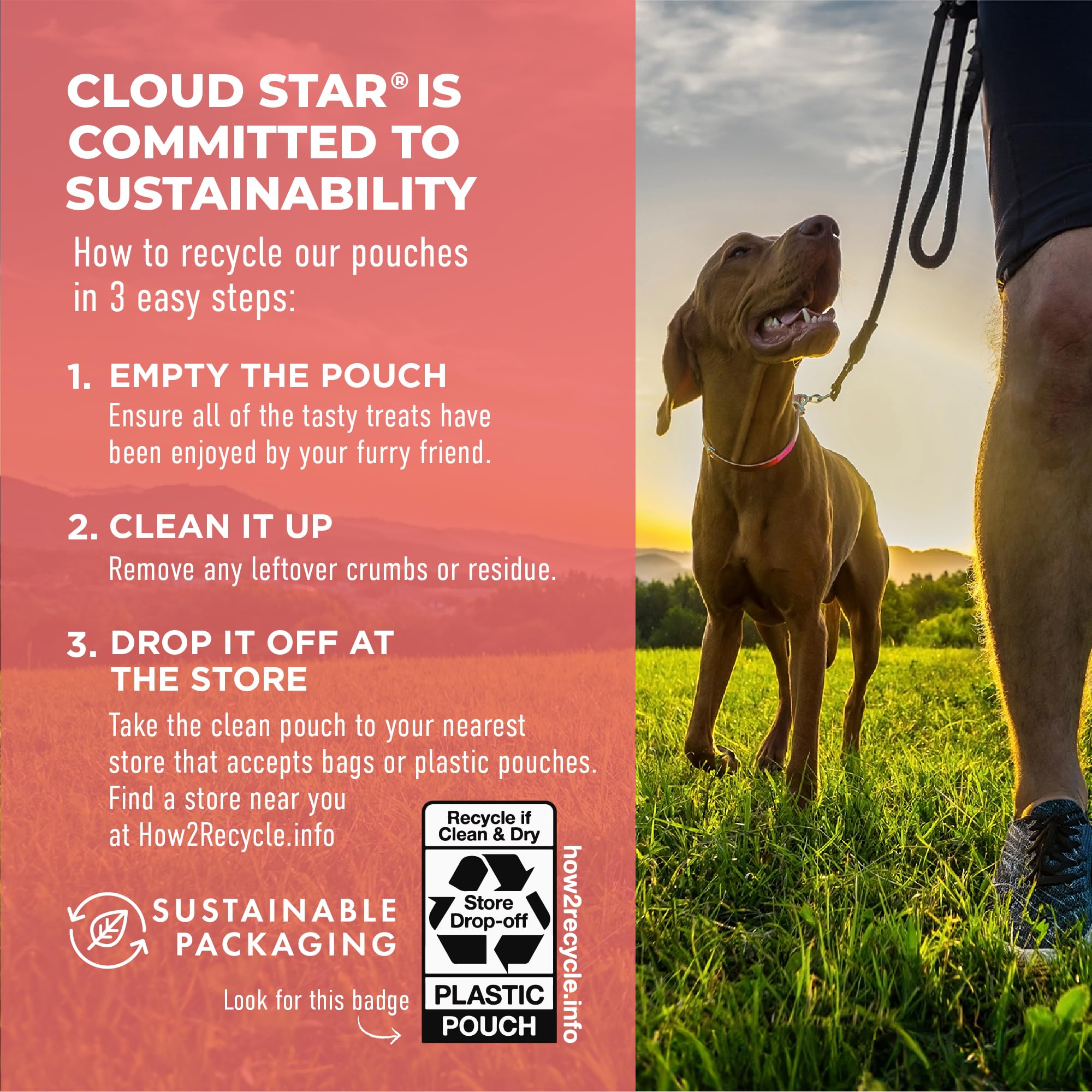 14 oz pouch of Cloud Star Dynamo Dog soft chews.