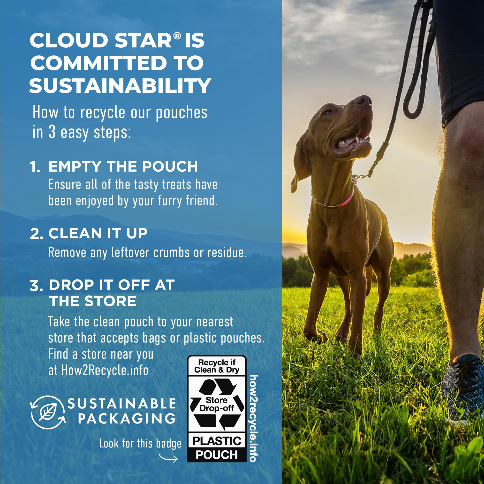 Cloud Star Dynamo Dog Soft Chews 14 oz pouch for daily treats