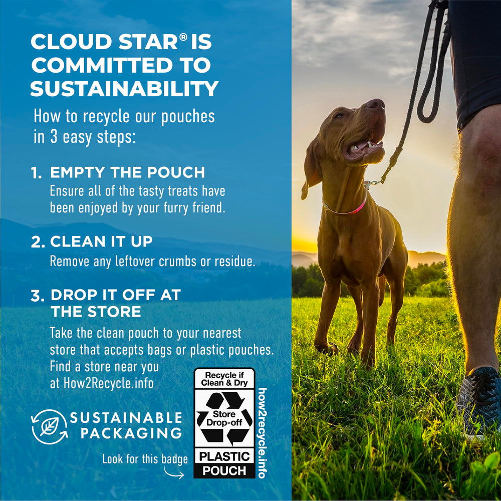 Cloud Star Dynamo Dog Soft Chews 14 oz pouch for daily treats