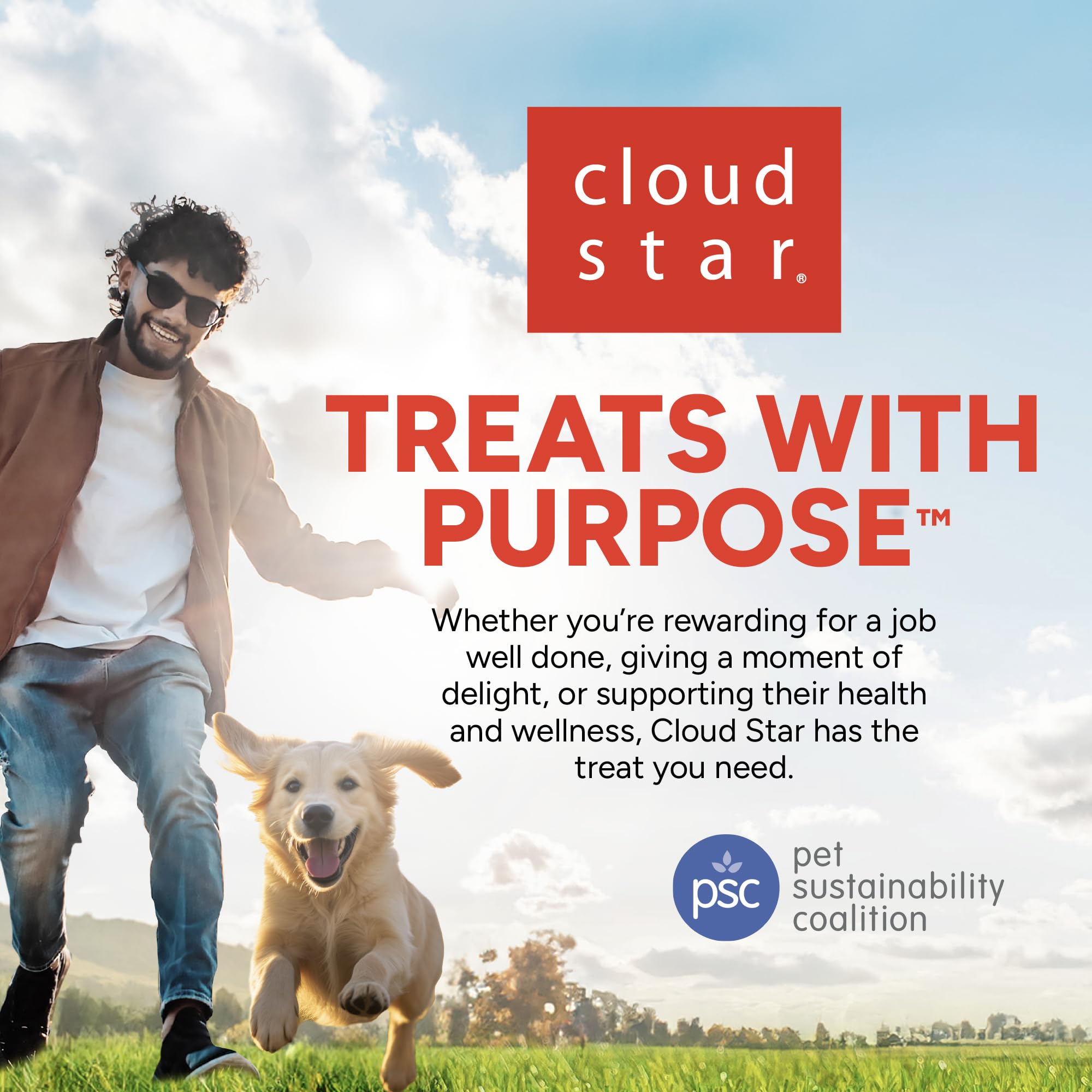Cloud Star Dynamo Dog Soft Chews premium bacon cheese treat for dogs