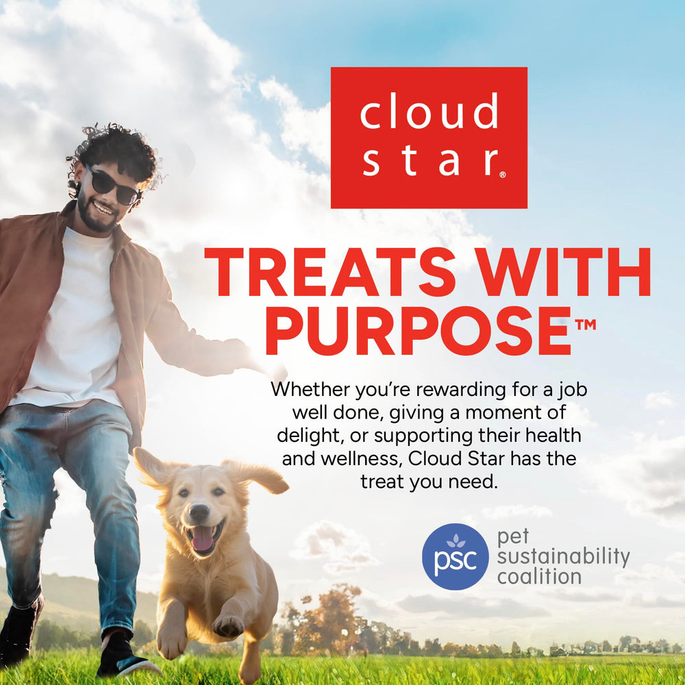 Cloud Star Dynamo Dog Soft Chews premium bacon cheese treat for dogs
