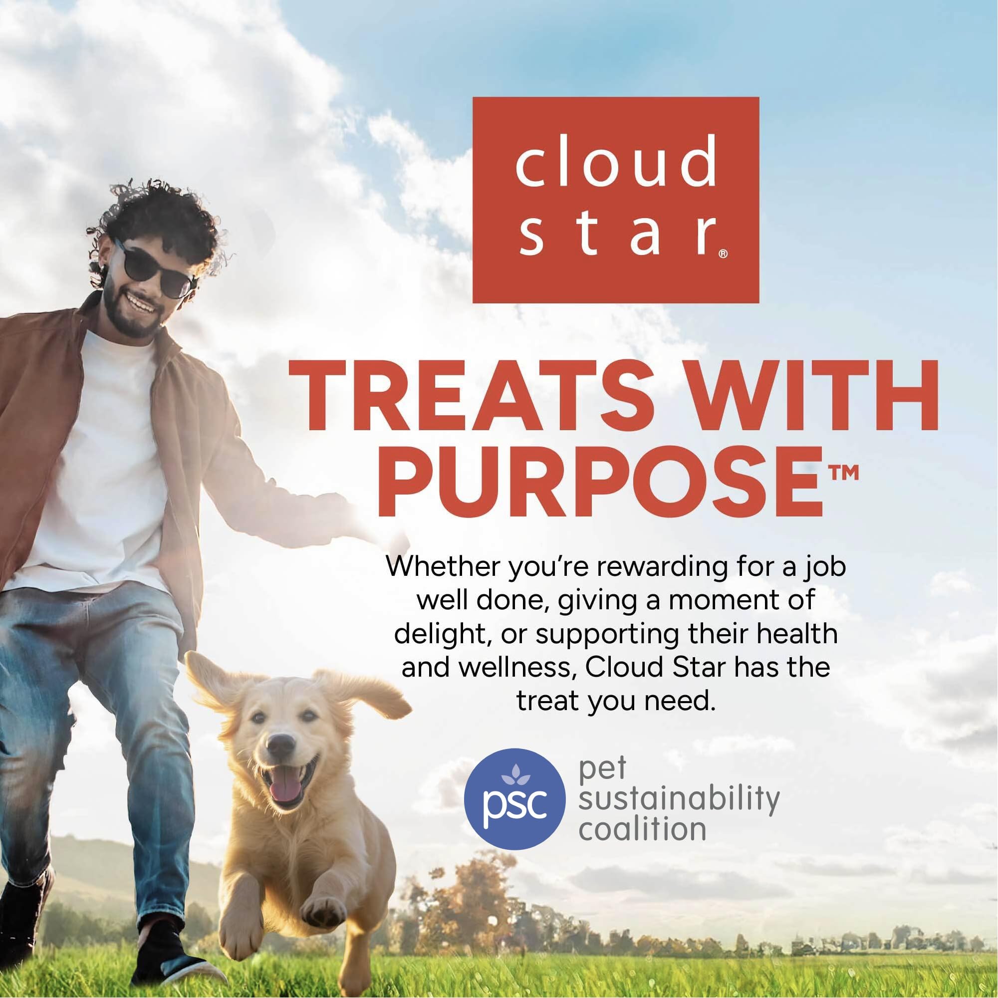 Cloud Star grain-free ingredients graphic emphasizing wheat-free corn-free soy-free