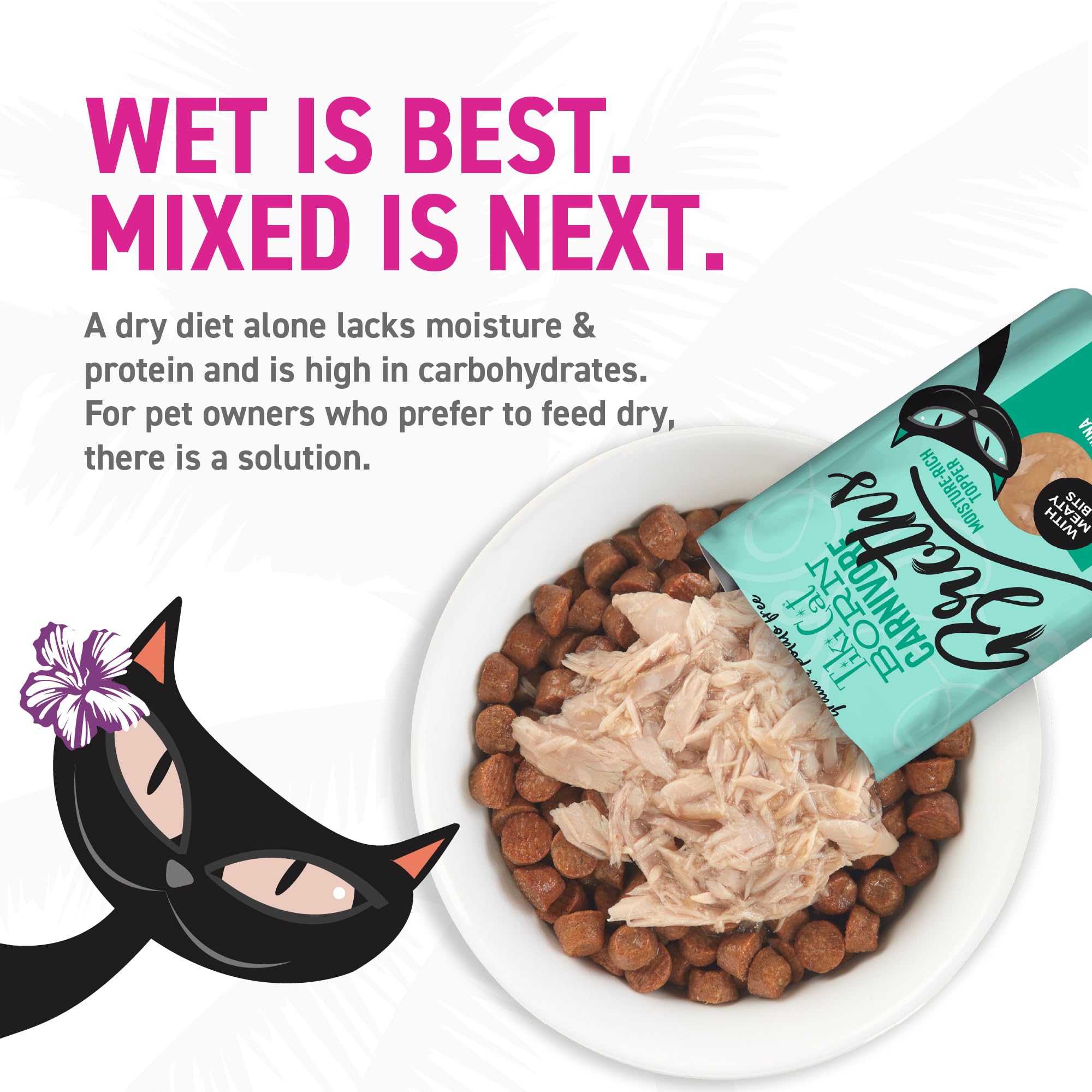 Cloud Star Tiki Cat Born Carnivore Broths gravy pour-over enhances kibble