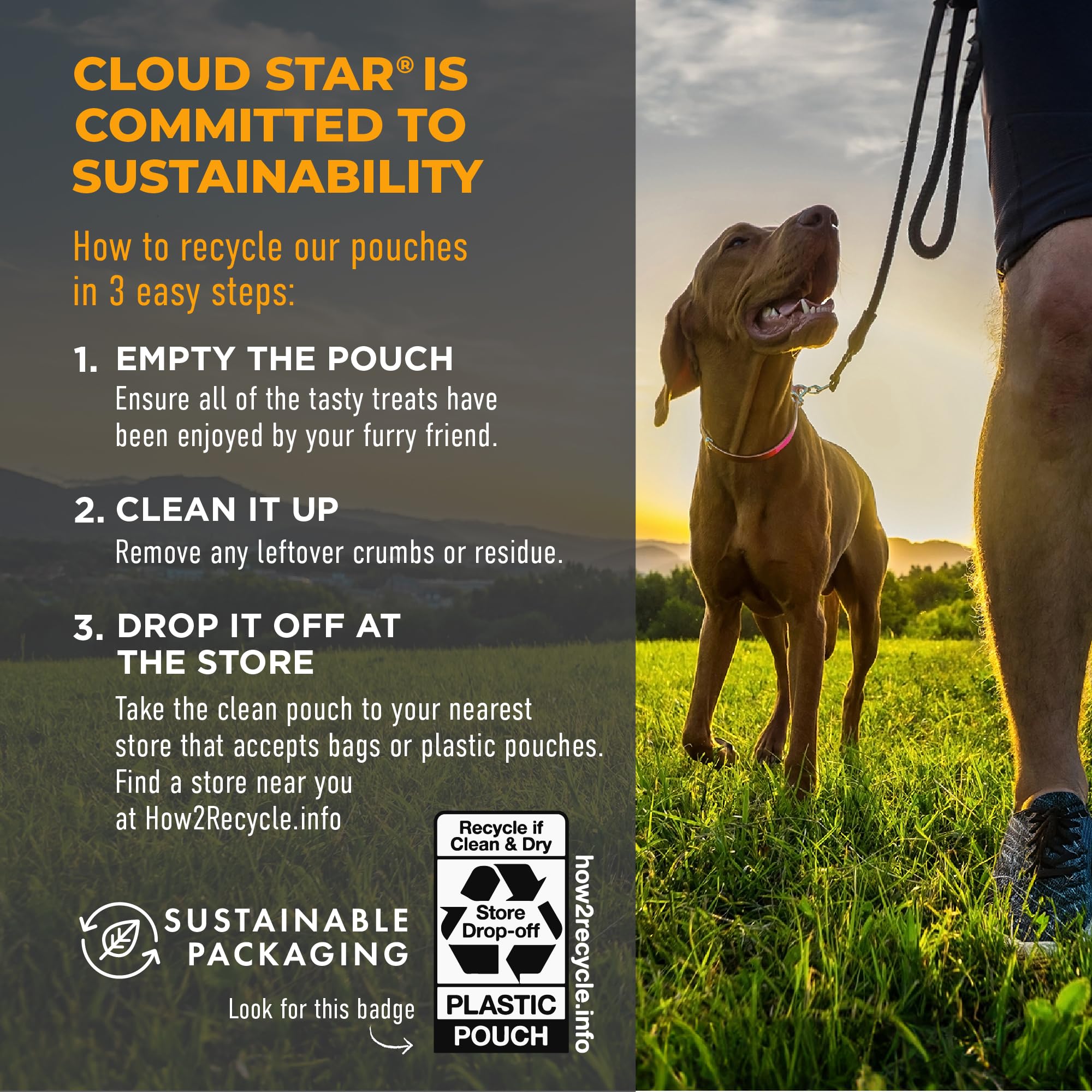 Cloud Star Tricky Trainers 360 treats per bag close-up.