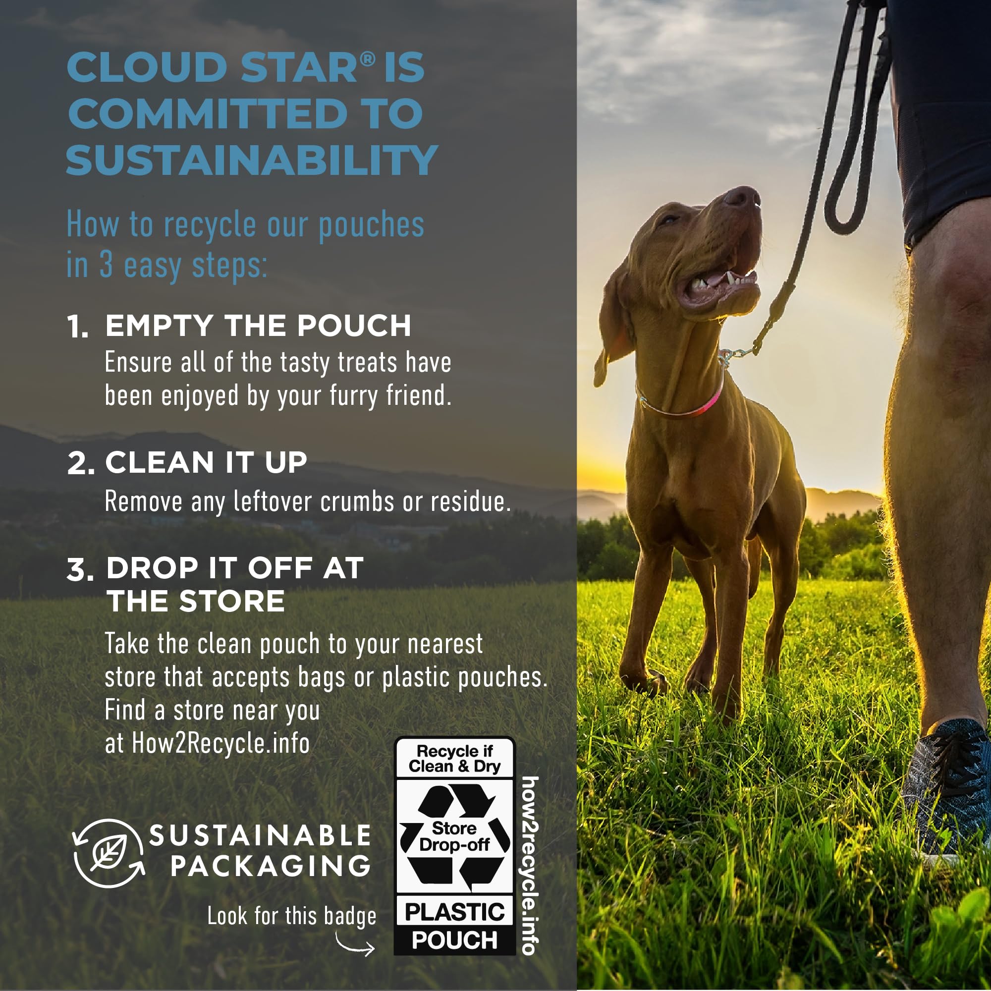 Cloud Star Tricky Trainers soft texture closeup showcases chew-friendly training rewards.