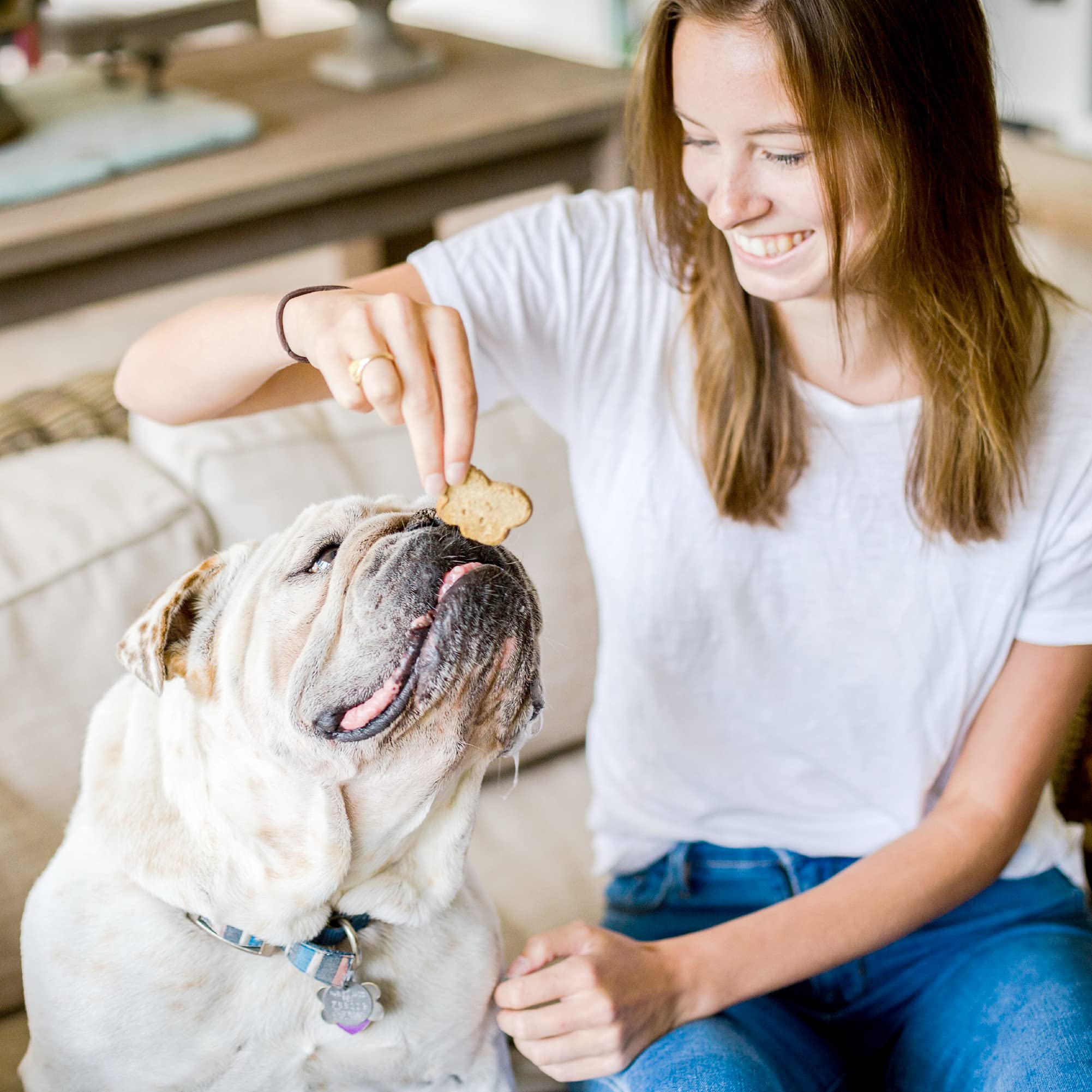 Cloud Star Wag More Bark Less gluten-free badge on biscuit, safe snacking.