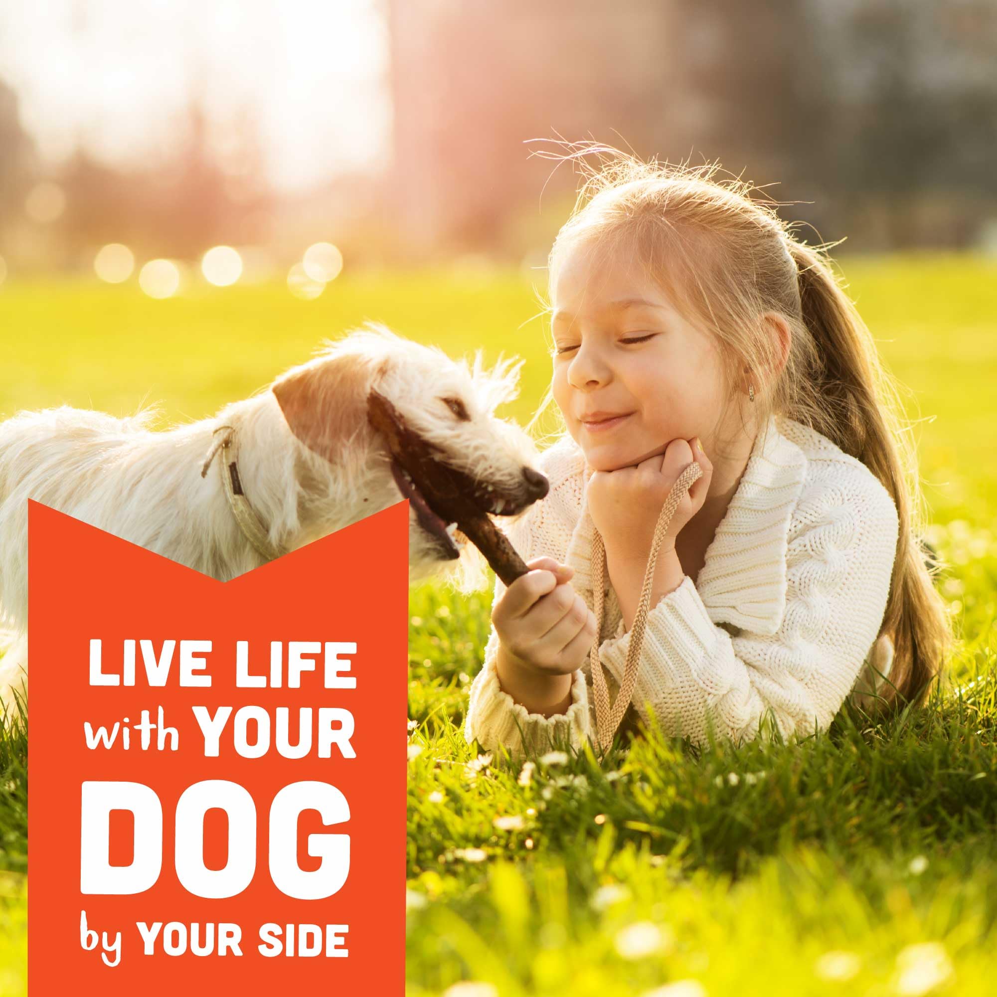 Ideal training reward for dogs of all sizes.