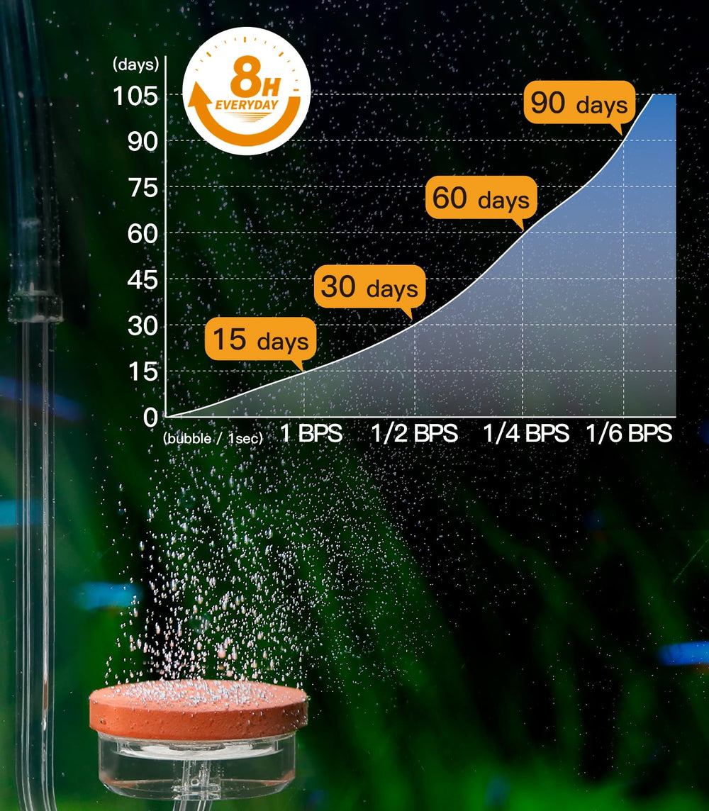 Clscea desktop aquarium setup showcases space-saving design for compact tanks