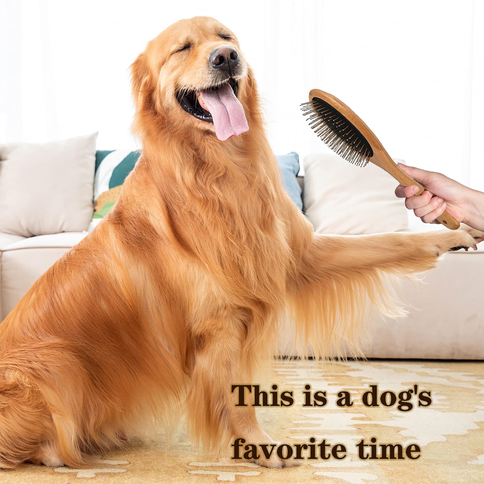 Clumsy Pets ideal for small dogs and puppies.