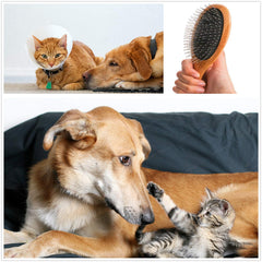 Clumsy Pets stainless steel pin head designed for detangling mats and loose hairs.
