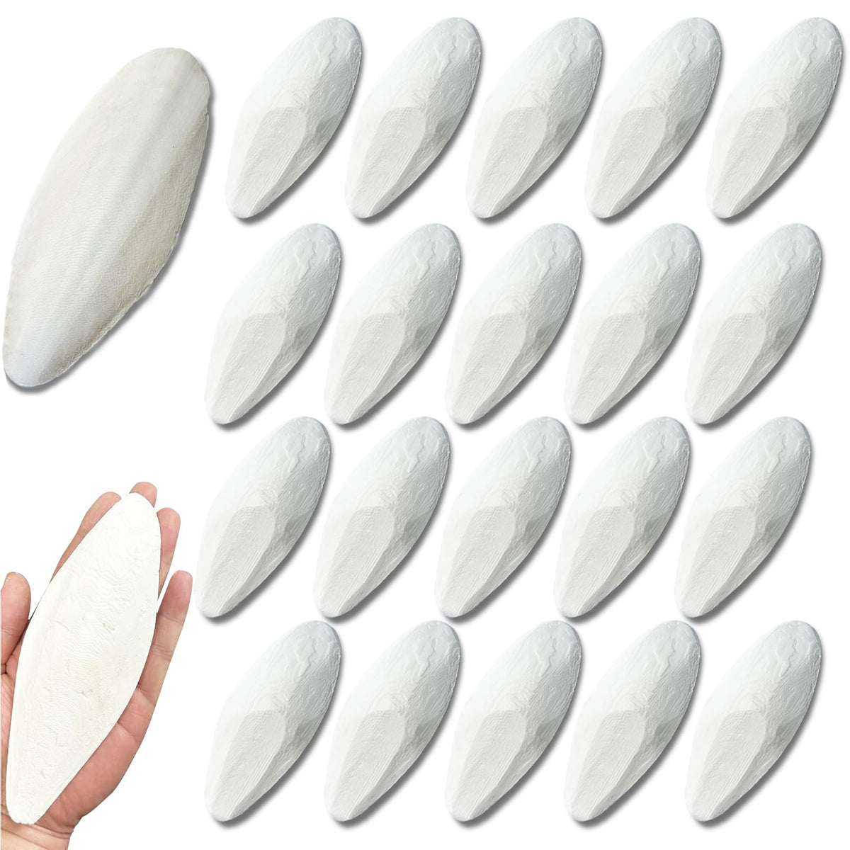 Clyairmao bird cuttlebone 6-pack ready for daily beak enrichment