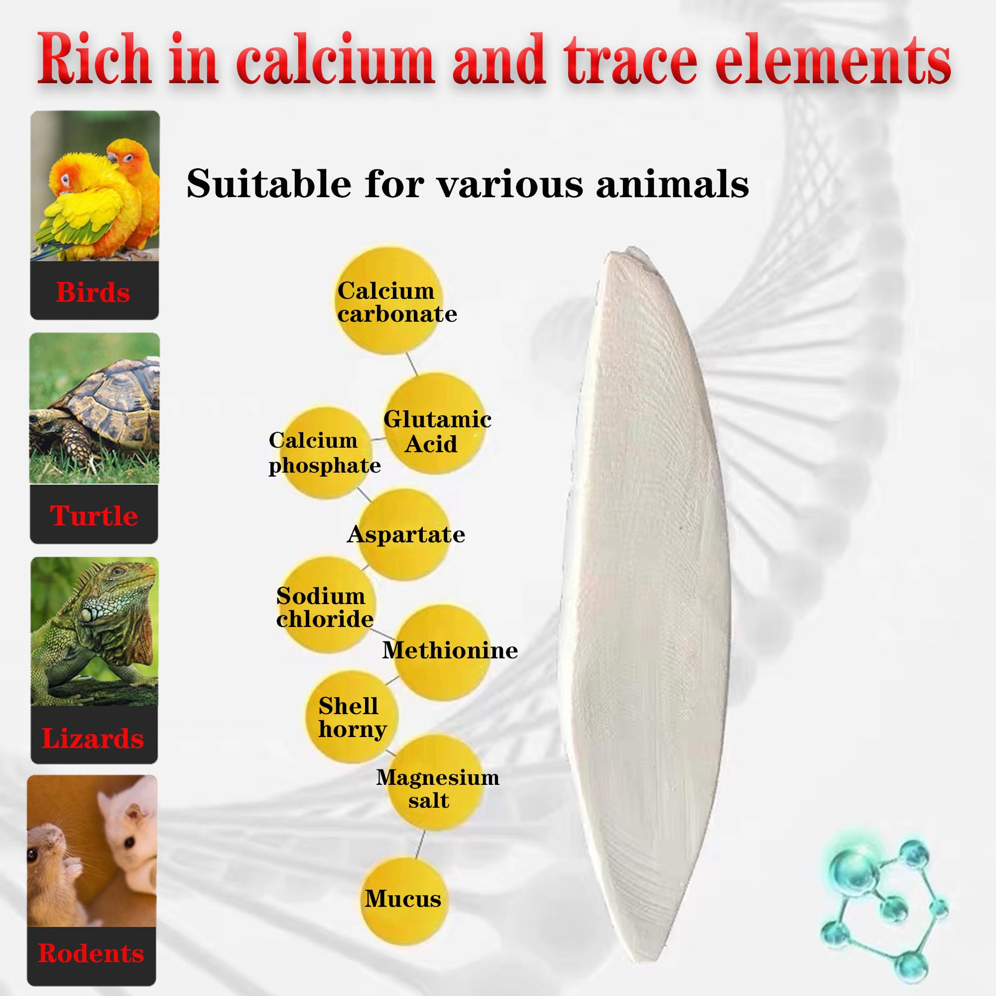 Bulk 6-piece Clyairmao cuttlebone pack for multiple birds