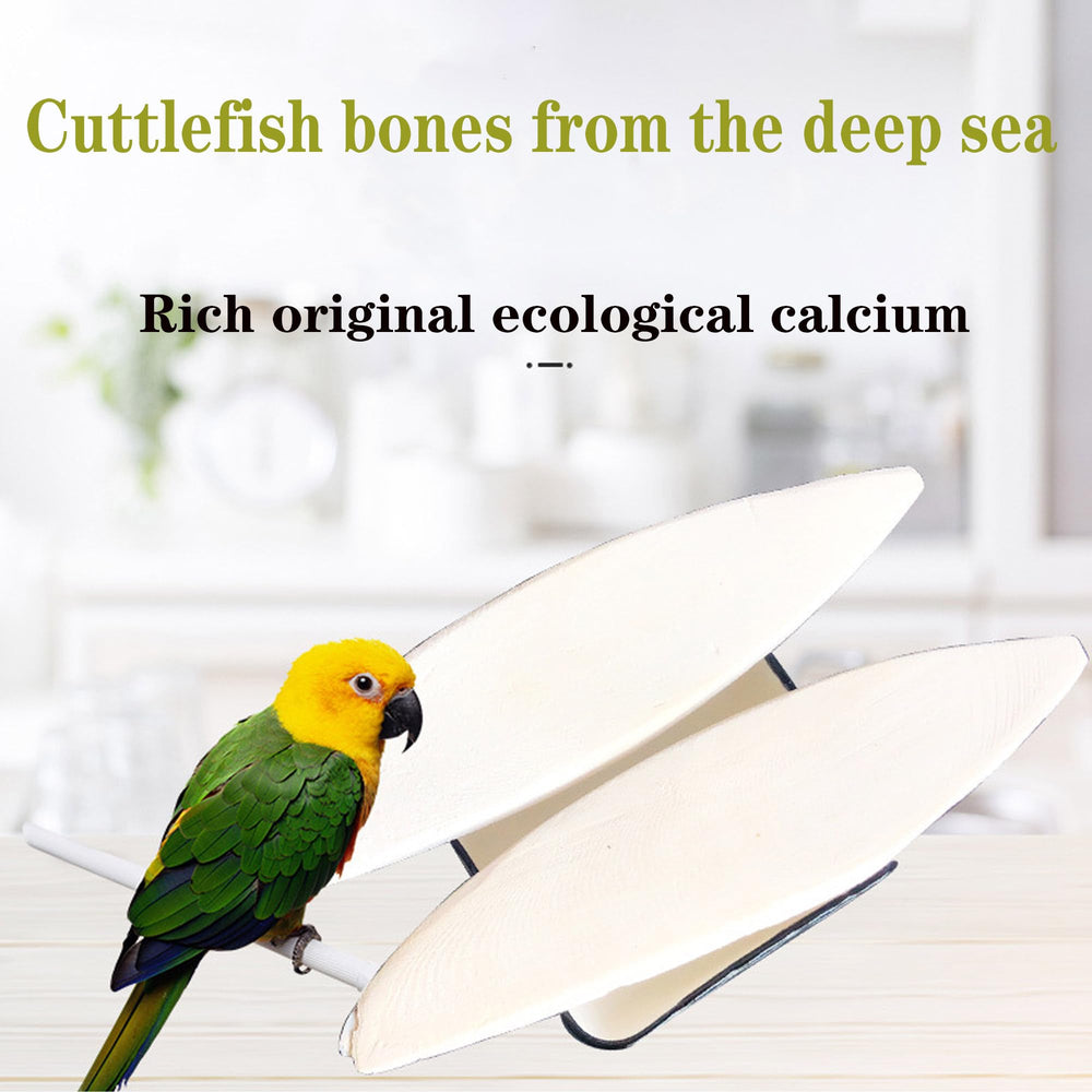 Natural material Clyairmao cuttlebone without additives for birds