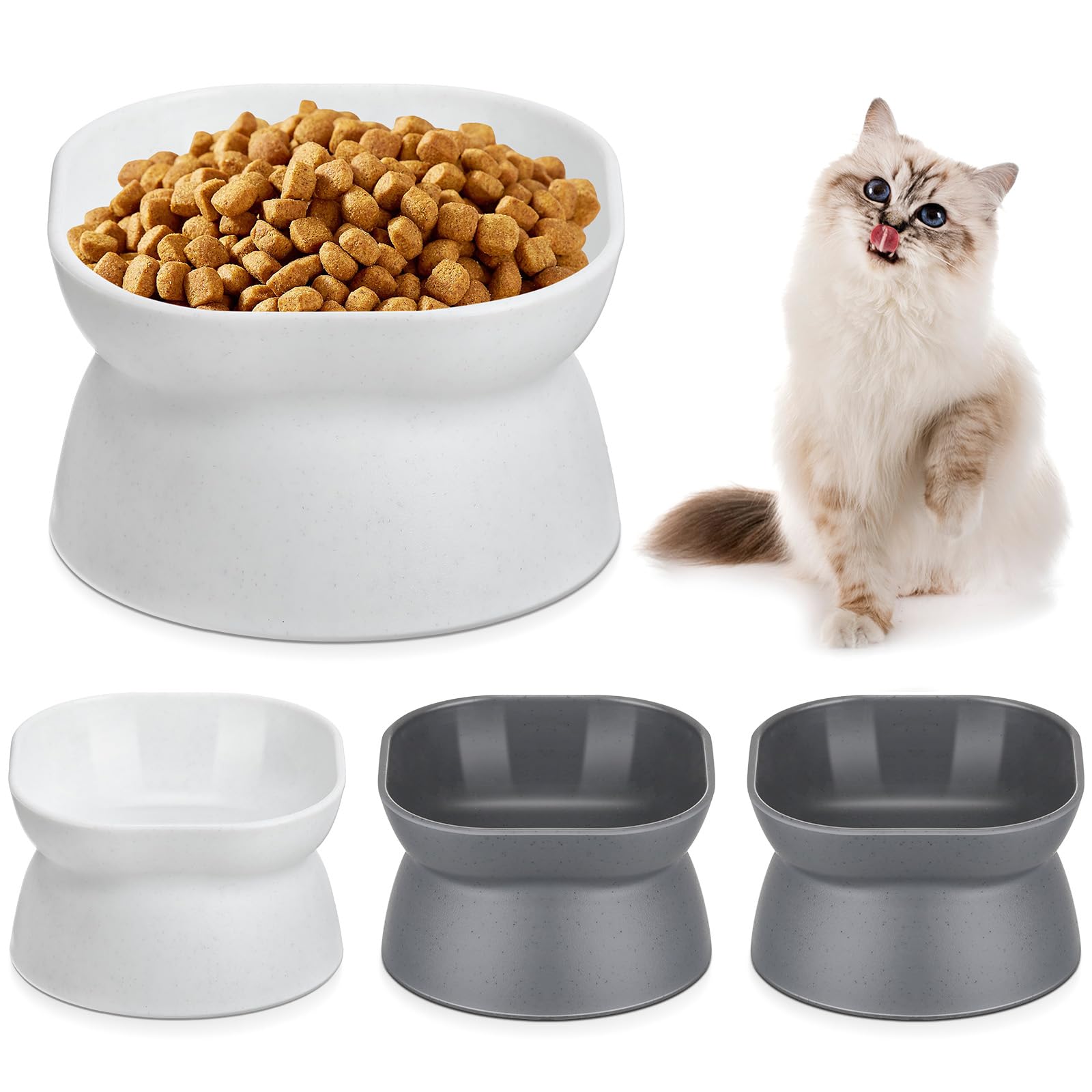Clysee elevated cat bowls with a tilted design for comfortable eating