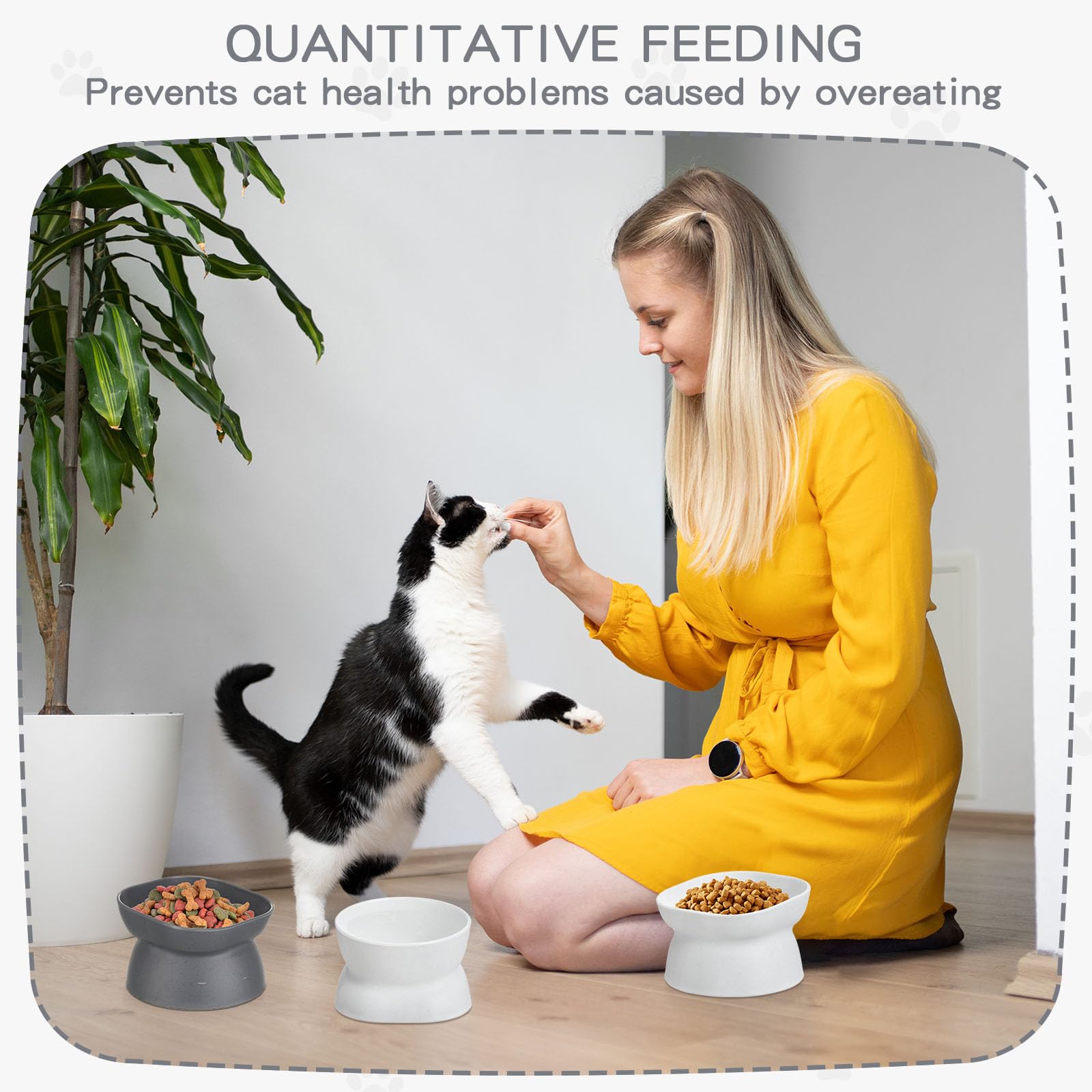 Clysee elevated cat bowls in white and grey variant for everyday use