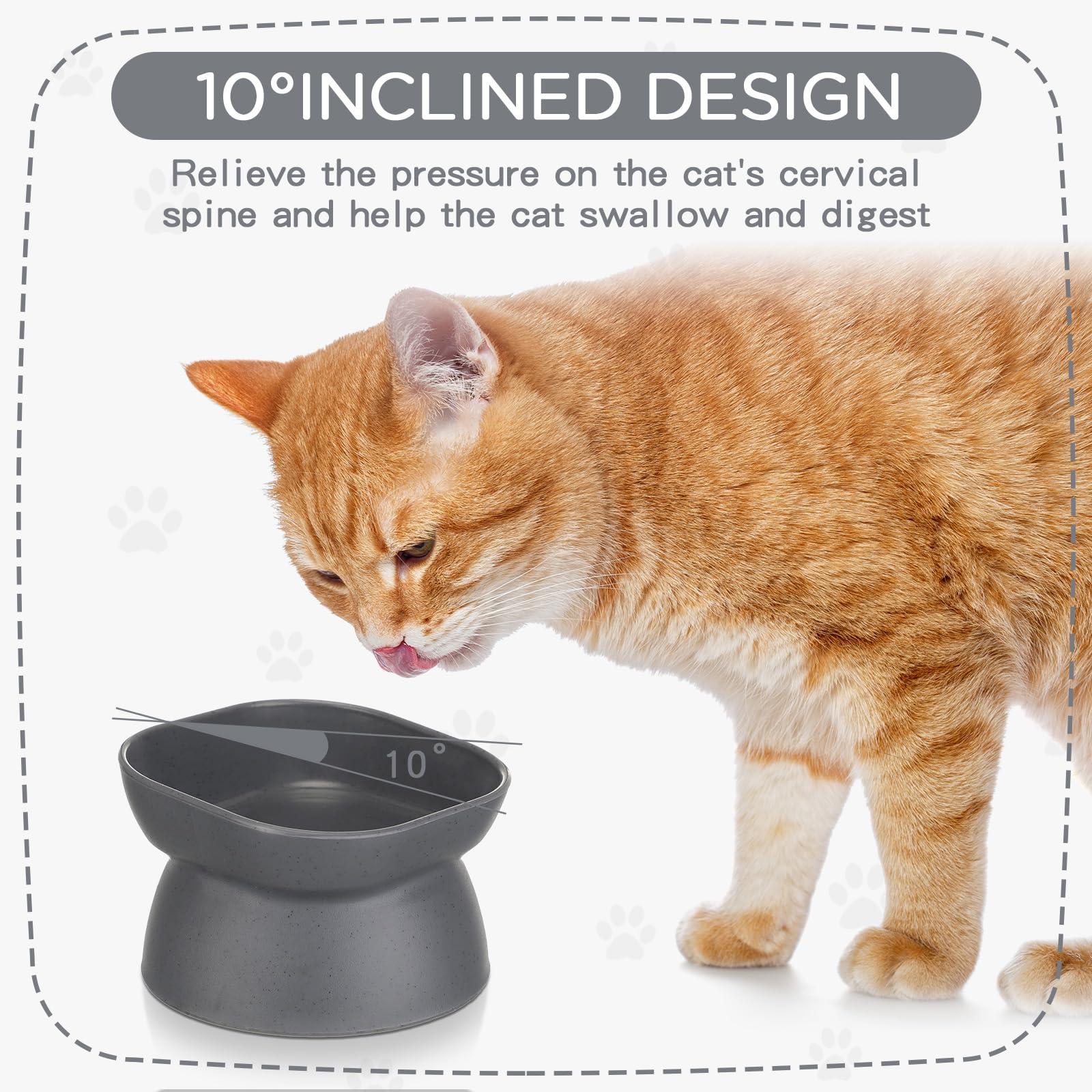 Clysee elevated bowls with a wide mouth for easy filling