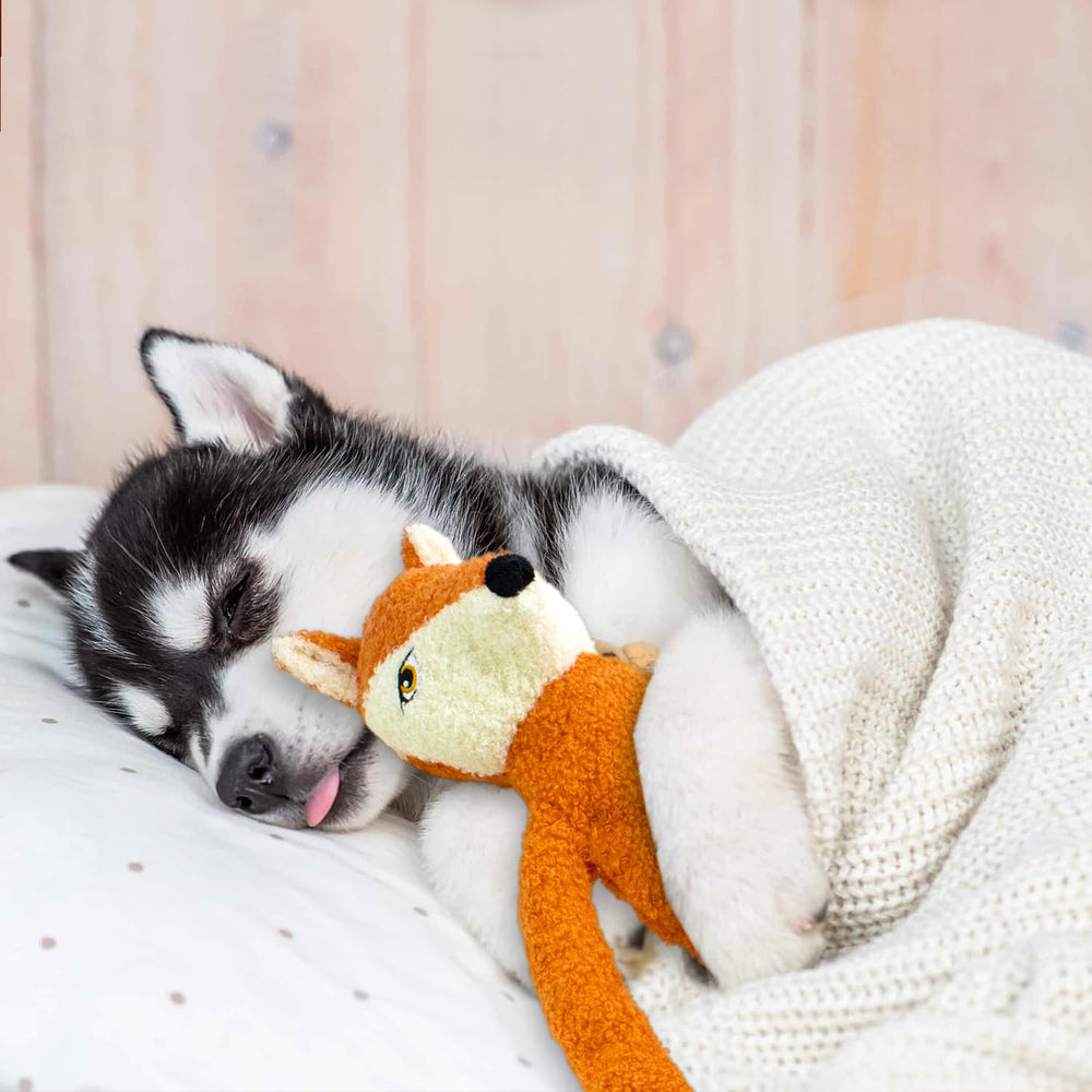 CneeeeeB dog enjoying playtime with the fox, pig, and hippo trio