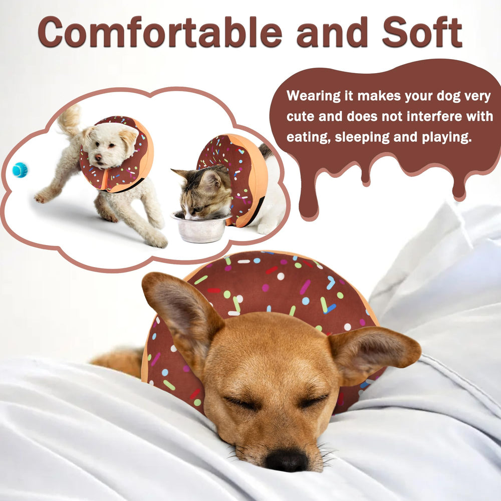 Cneo inflatable donut collar on a medium dog with a friendly recovery look