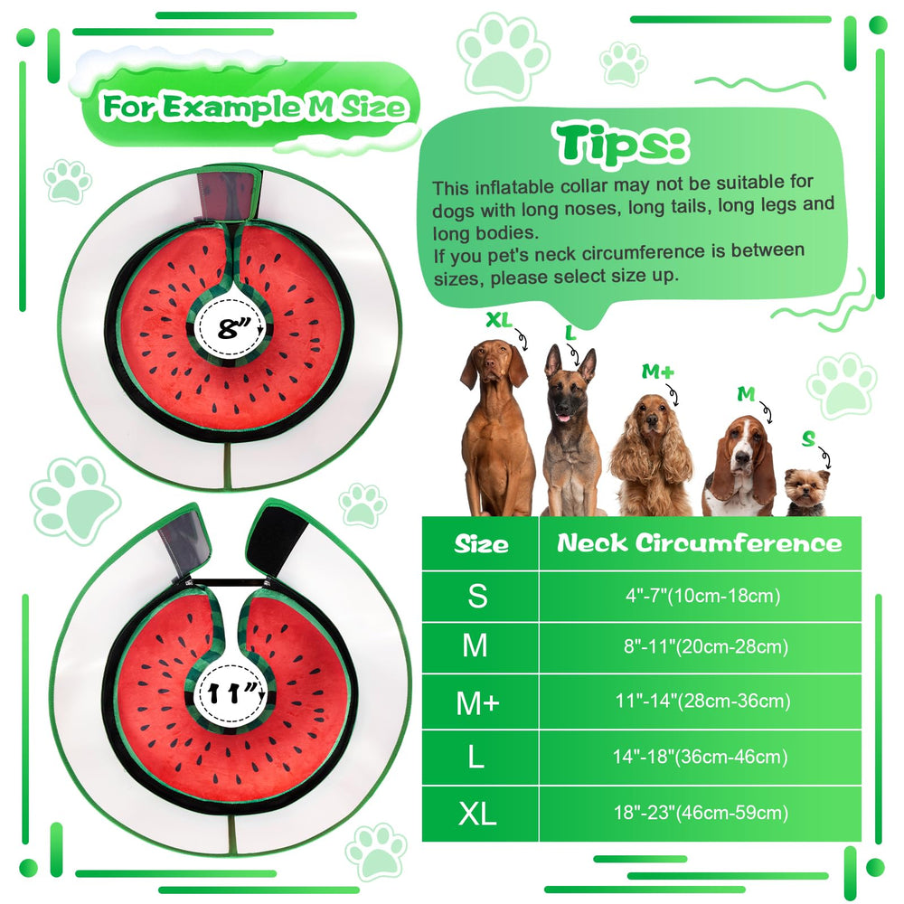 CNEO donut-style collar supports eating, drinking, and gentle activity.