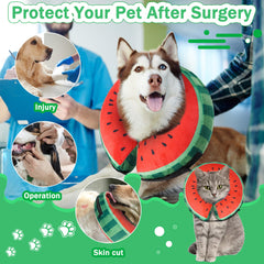 Cneo inflatable donut collar side view showing a secure fit.