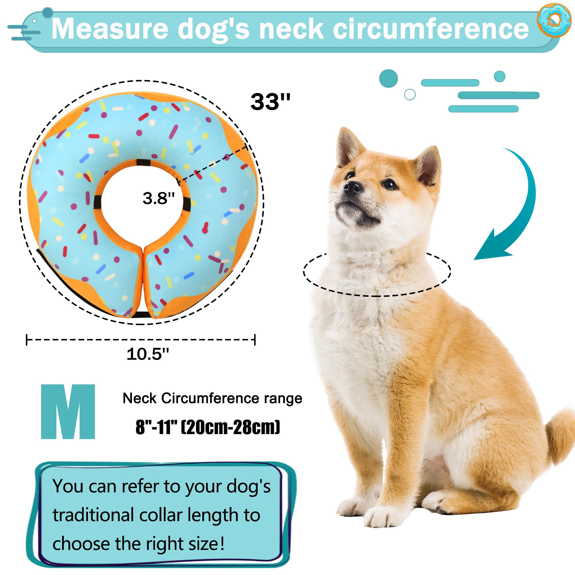Cneo blue donut collar supports calm meals and rest at home.