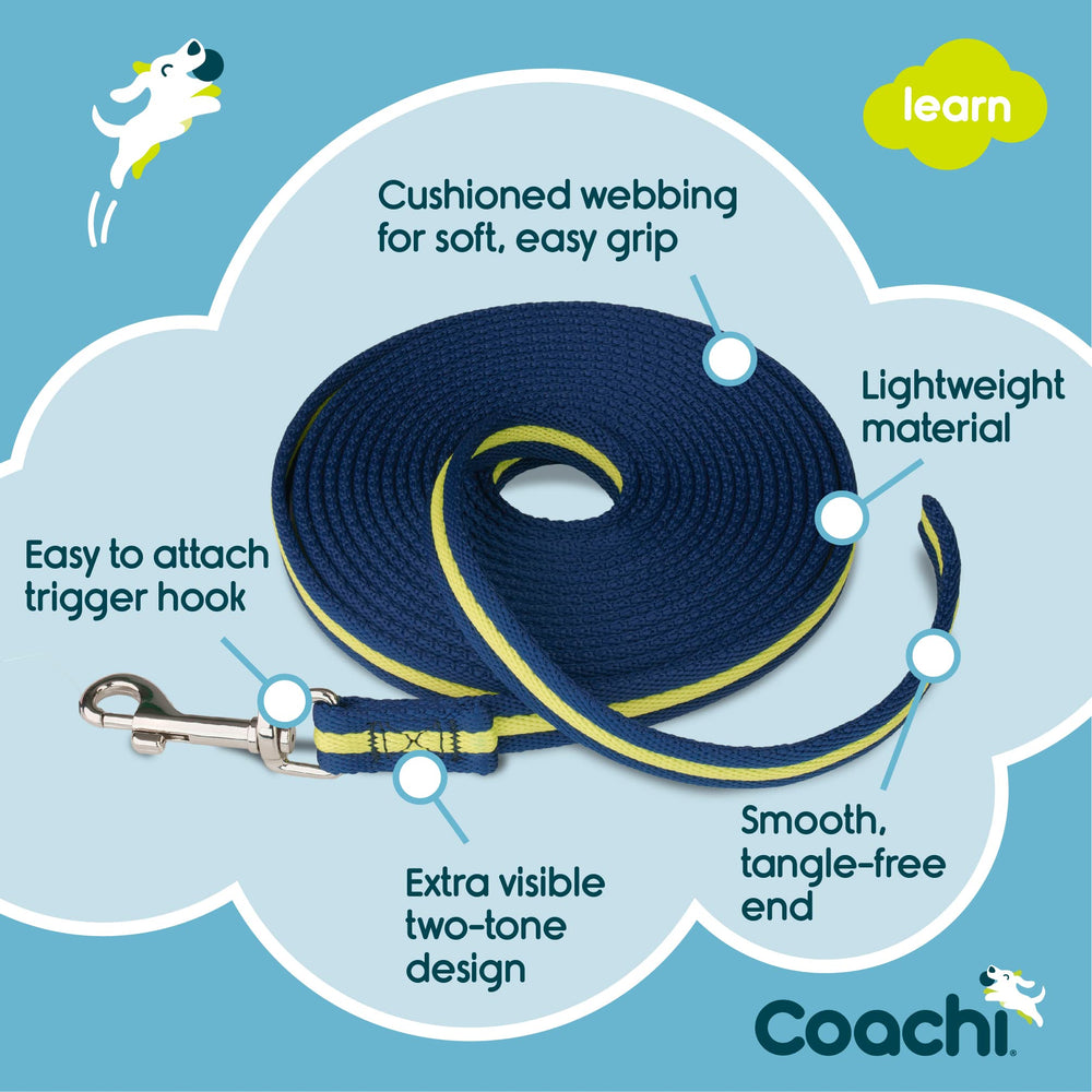 Coachi line helping socialization during public outings with small dogs.