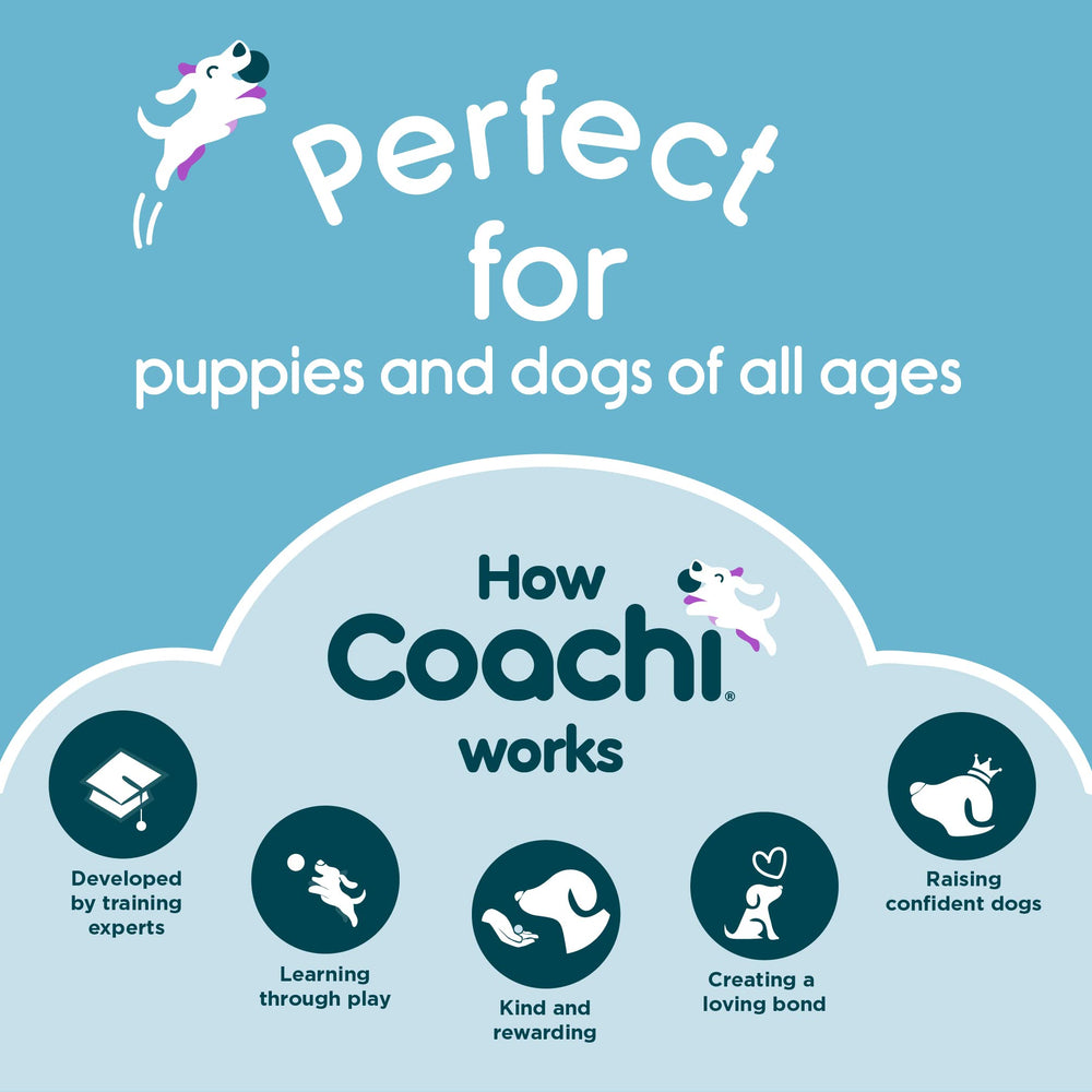 Coachi Tuggi Helix durable materials withstand vigorous tugging for active dogs.