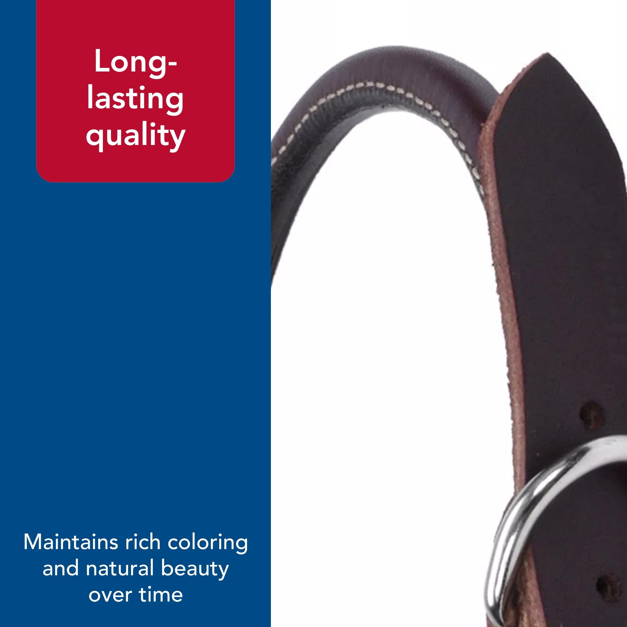 Coastal Pet Circle T Latigo 3/8-inch round collar with buckle for secure fit.