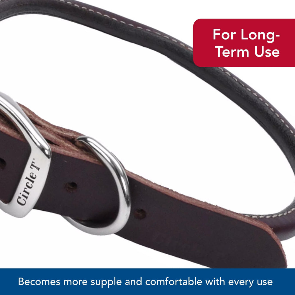 Coastal Pet Circle T Latigo artisan-made collar showcases handcrafted detail.