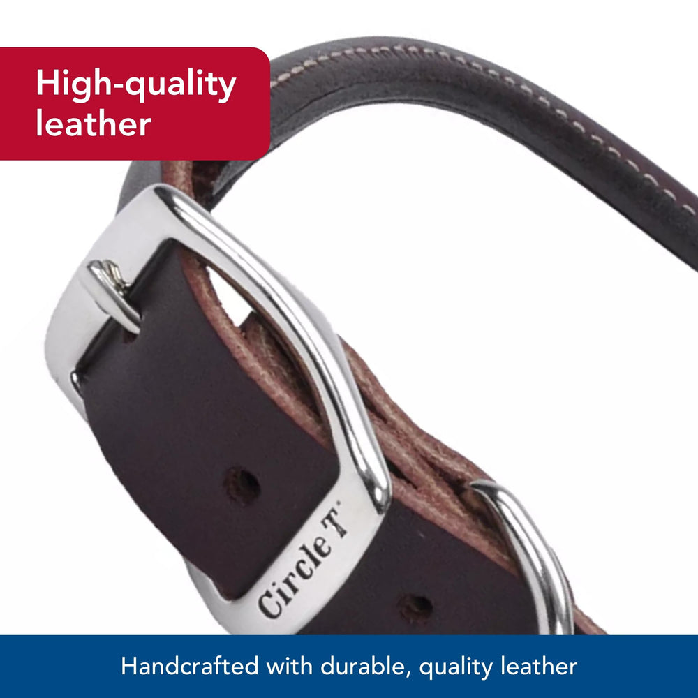 Coastal Pet Circle T Latigo round collar, ideal for long-haired dogs.