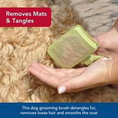 Coastal Safari slicker brush with comfortable grip handle for grooming.