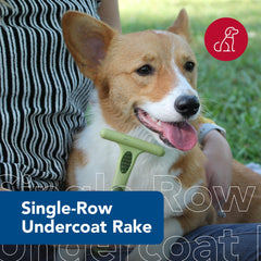Coastal Pet Safari Undercoat Rake double-row pins for thorough deshedding in thick coats.