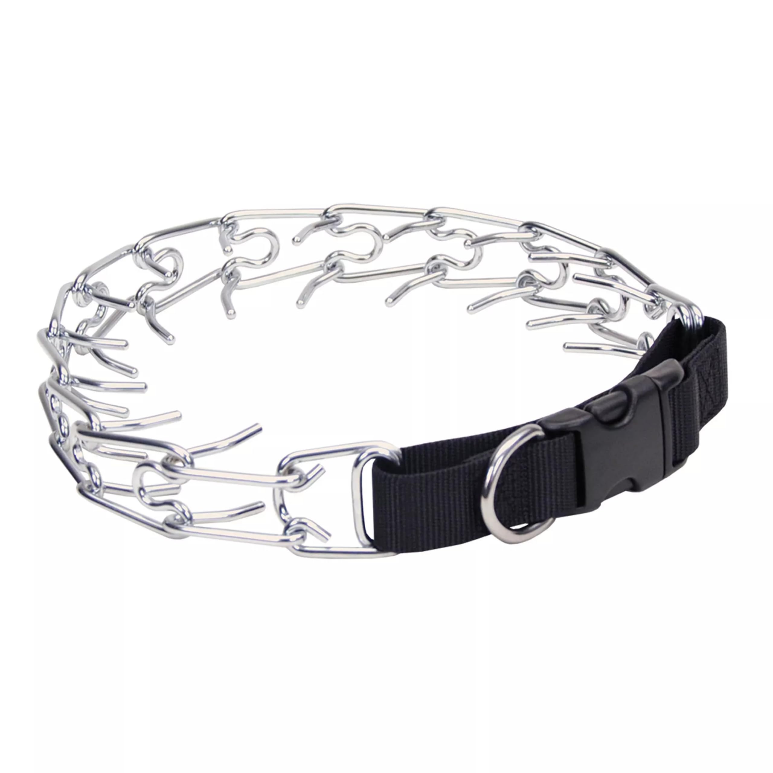 Coastal Pet Titan Easy-On collar shown for comfortable daily wear on a dog.