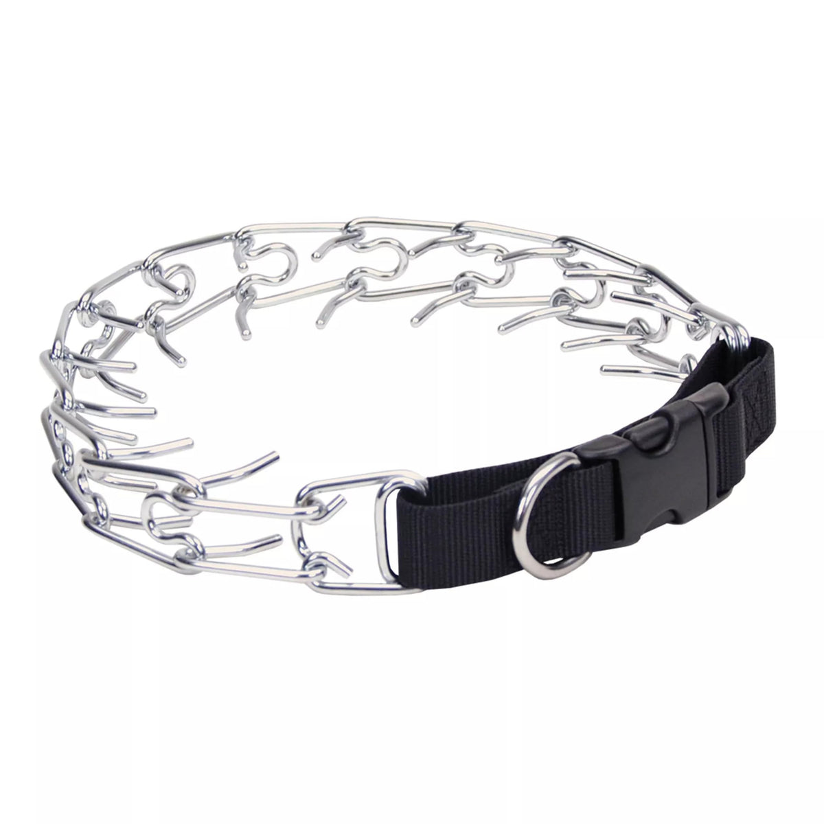 Coastal Pet Titan Easy-On collar shown for comfortable daily wear on a dog.