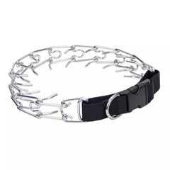 Coastal Pet Titan Easy-On collar shown for comfortable daily wear on a dog.
