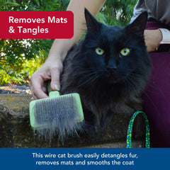 Coastal Safari targets tangles and mats for smoother fur.