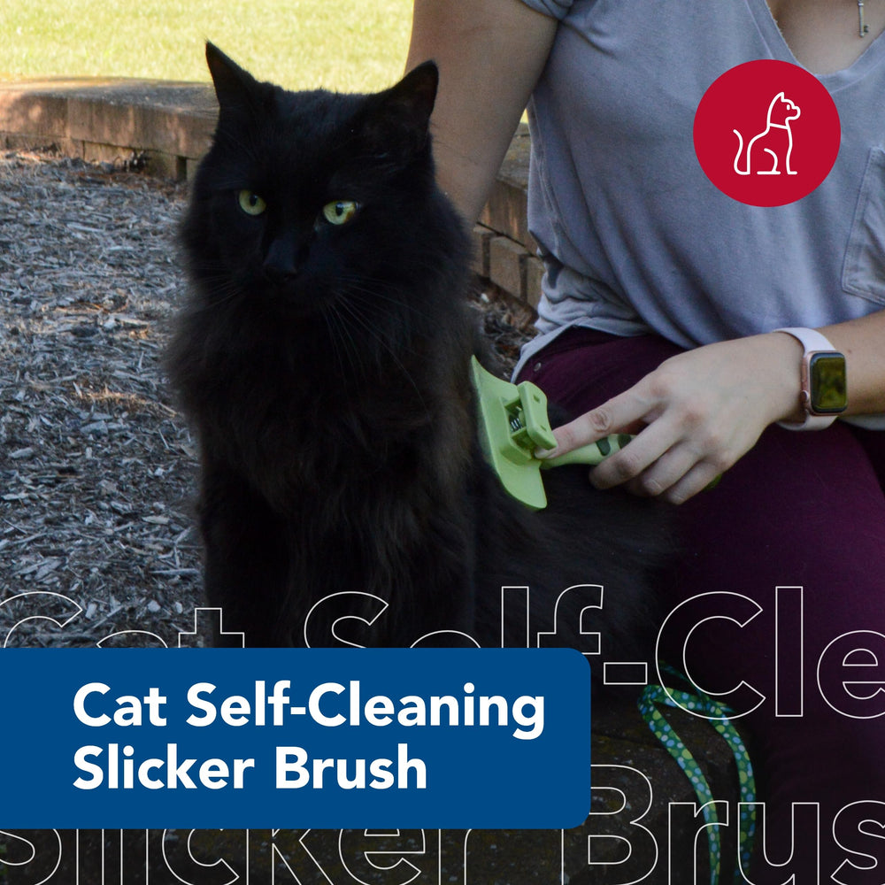 Coastal Safari brush pins coated in stainless steel for gentle detangling.