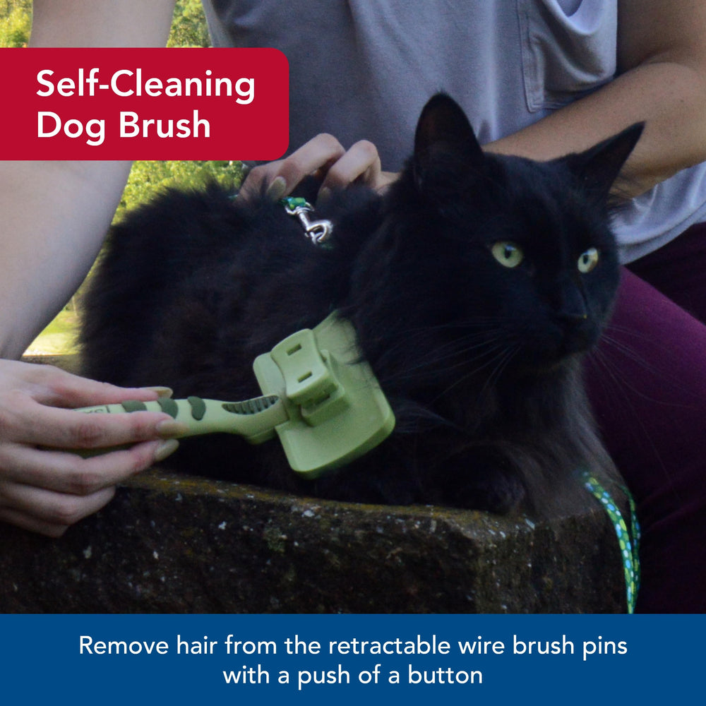 Coastal Safari self-cleaning button enables quick brush cleanup.