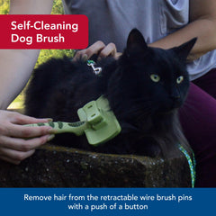 Coastal Safari self-cleaning button enables quick brush cleanup.