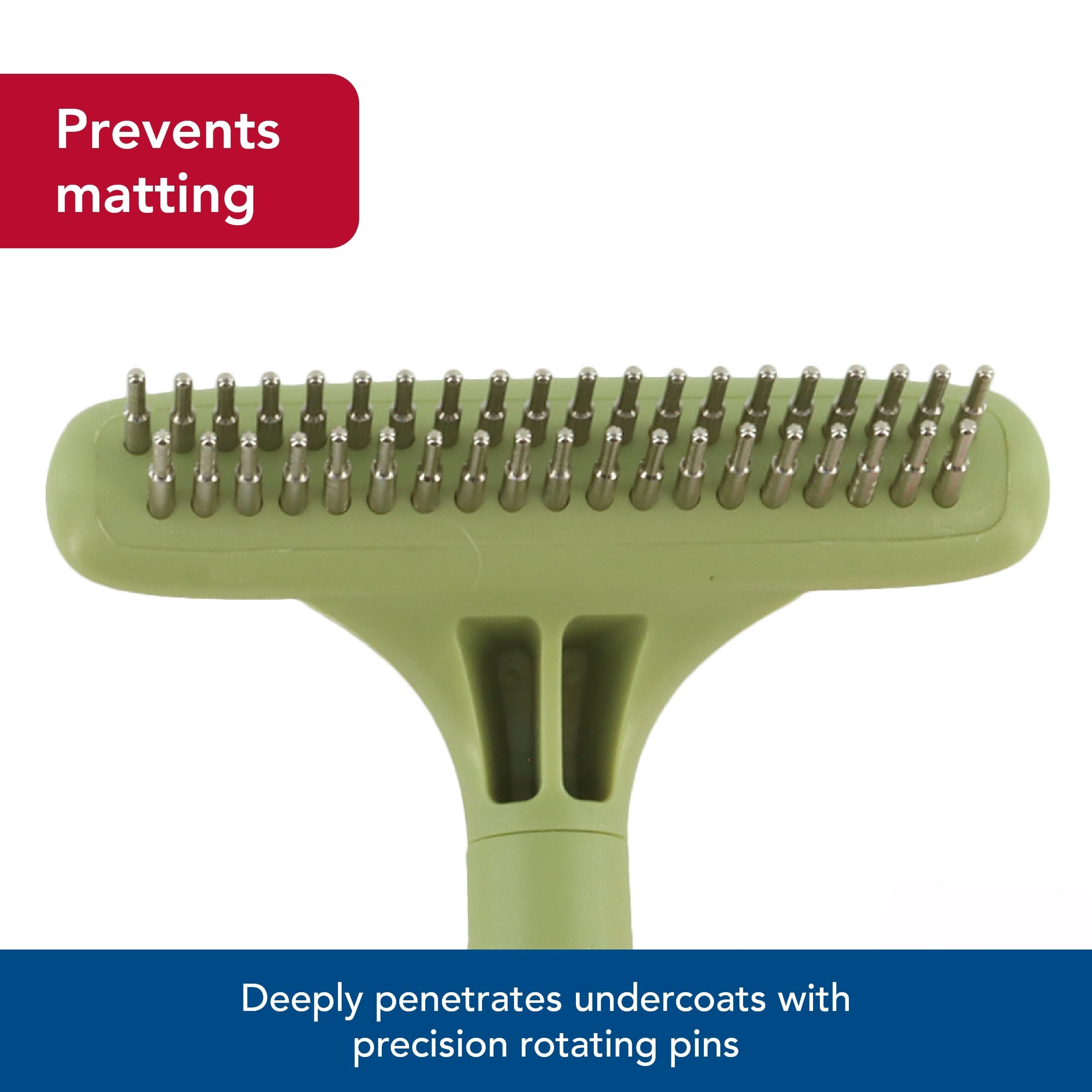 Coastal Safari undercoat rake removing mats on a thick coat for smoother results.