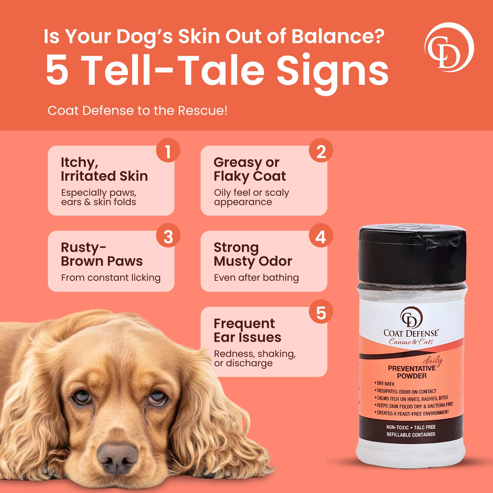 COAT DEFENSE dry shampoo application on a dog's coat for quick freshness.