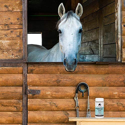 COAT DEFENSE avoids harsh chemicals with talc-free, non-toxic formula.