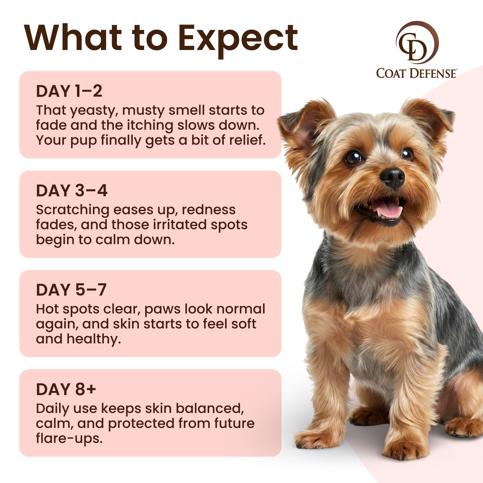 COAT DEFENSE Safe Non-Toxic Dog Shampoo highlighting a skin-friendly cleanse.