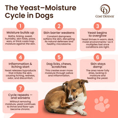 COAT DEFENSE Sensitive Skin Shampoo bottle offering gentle cleansing and microbiome support.