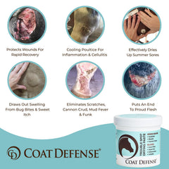 COAT DEFENSE Trouble Spot Paste applied to horse leg for targeted care