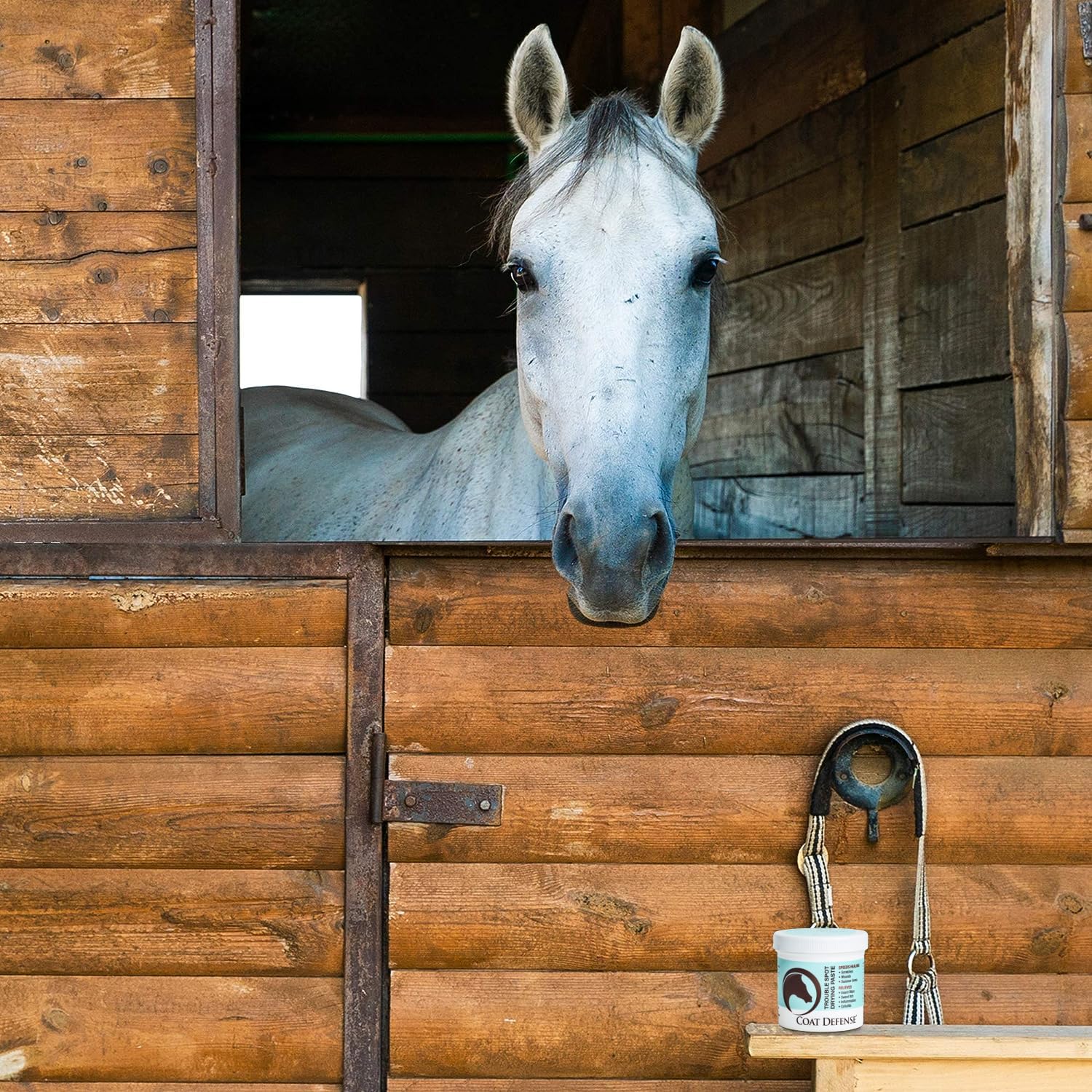 COAT DEFENSE Trouble Spot Paste used for summer sores in horses