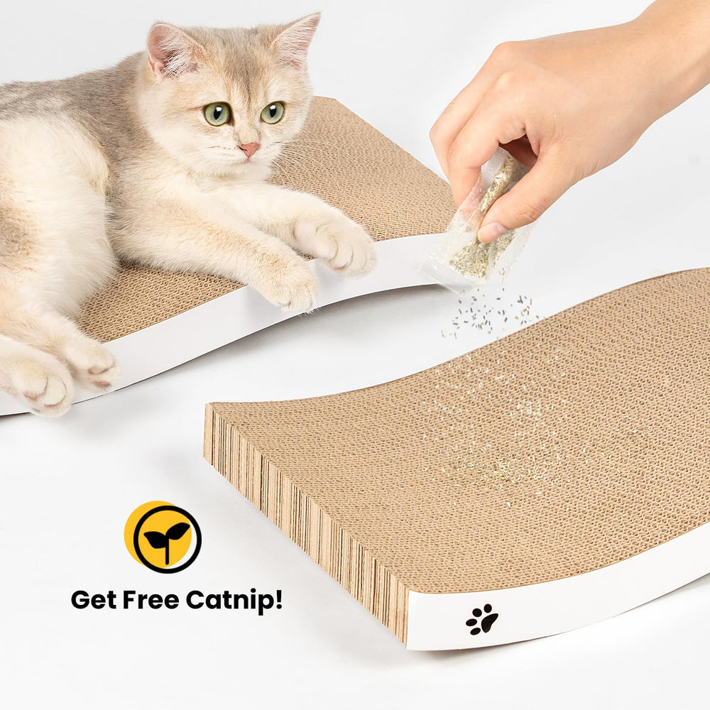 Coching multi-cat setup demonstrates versatile usage across rooms.